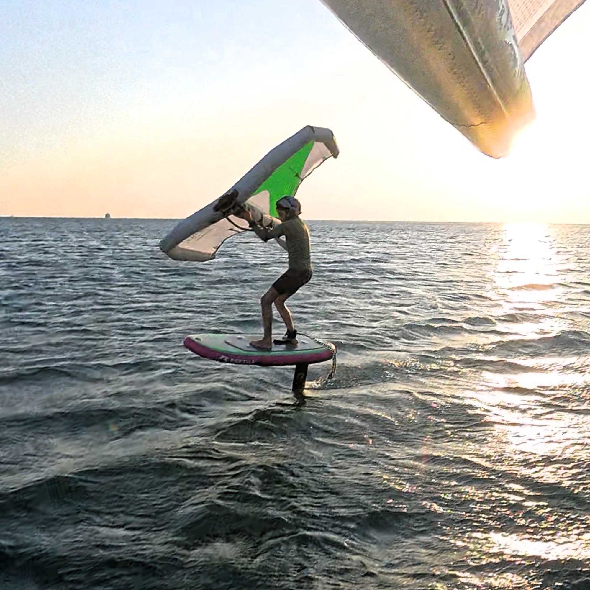 wing foil reptile alpha